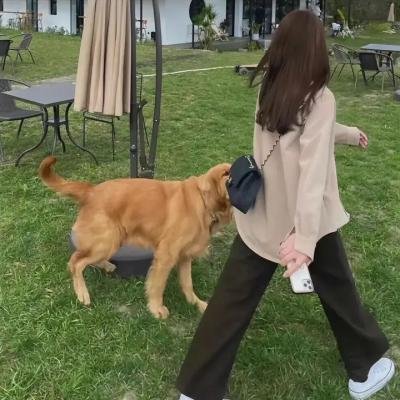 狂飙掟煲团
